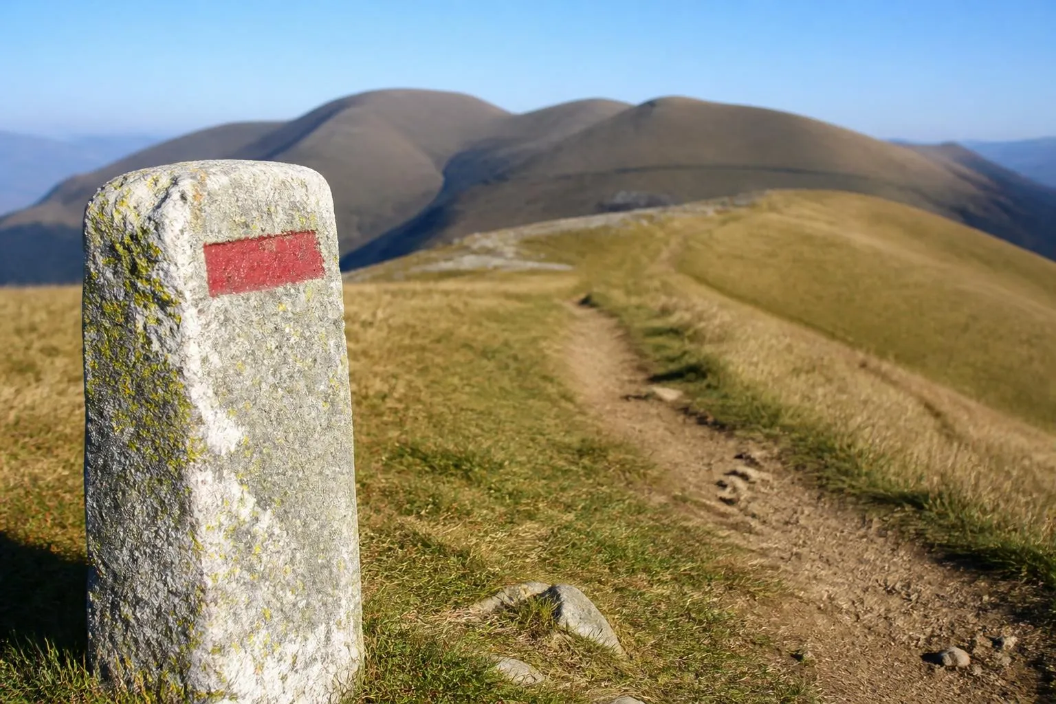 Un sentier de crête sur les hautes chaumes des Vosges, balisé d'un rectangle rouge sur une borne de pierre